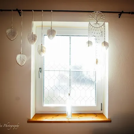 Birkenhof Pliesskowitz