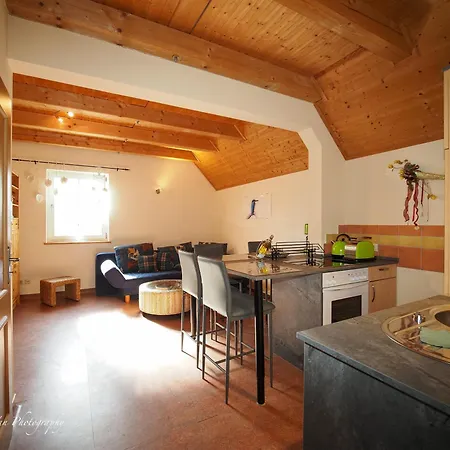 Birkenhof Pliesskowitz Apartment Malschwitz