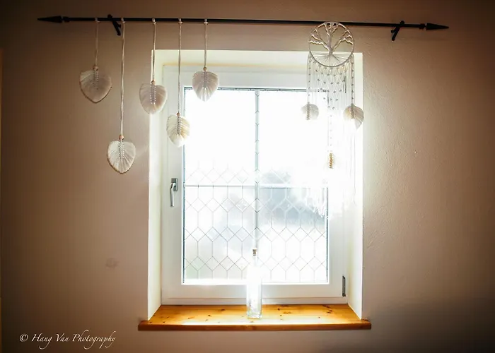 Birkenhof Pliesskowitz